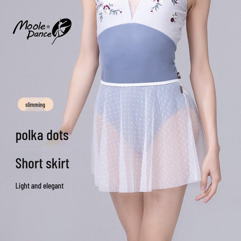 Adult Ballet & Dance Practice Mesh Skirt One Size
