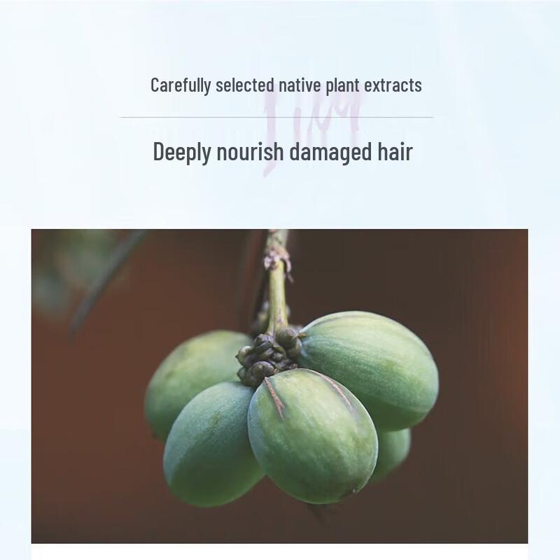 Qianxiang Torreya Amino Acid Smoothing Hair Lotion