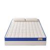 Four Seasons Latex Sponge Mattress - Single/Double, Dorm & Home Tatami Pad