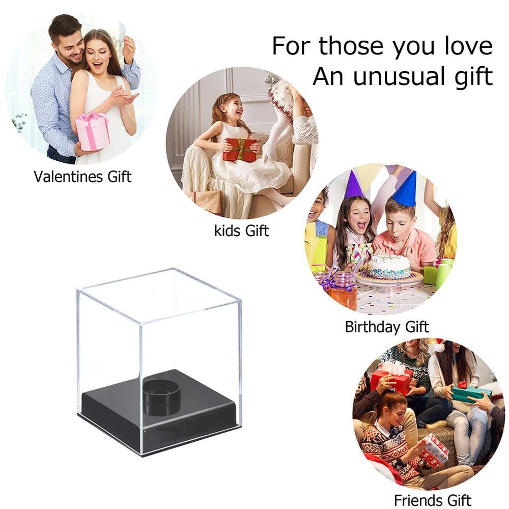 Baseball Display Case with Base Acrylic Clear Golf Tennis Holder Square Cube Ball Protector Souvenir Autograph Display Box