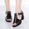Fashion Fish Mouth Sandals Womens 2025 Summer New Roman Womens Thick Heel Medium Heel Women's Shoes Fashion Versatile Women High Heels
