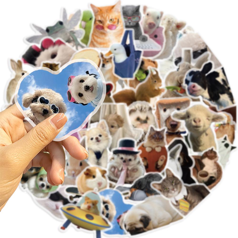 10/30/50Pcs Cartoon Cats Dogs Meme Transparent Sticker Diy Phone Laptop Luggage Skateboard Graffiti Decals Fun For Gift