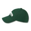 DOLPHIN WAVE APPAREL Dolphin Authentic Logo Ball Cap_123822DN