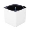 Square Self-Watering Planter with Water Level Indicator