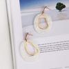 Women's Daily Akali Big Oval Long Earrings