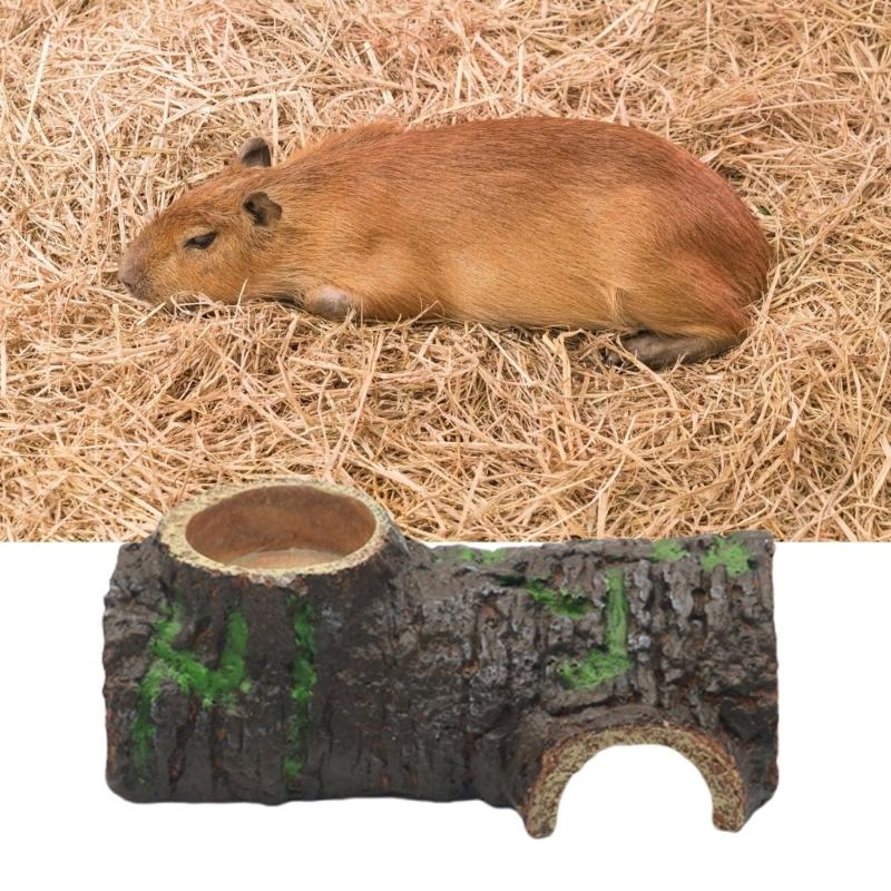 Terrariums Basking Platform Turtles Sunbath Tree Bark Landscape Aquariums Landscaping Decorations Reptiles Shelter Feeder