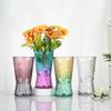 Nordic Hydroponic Glass Vase - Elegant Home Decor for Fresh or Dry Flowers