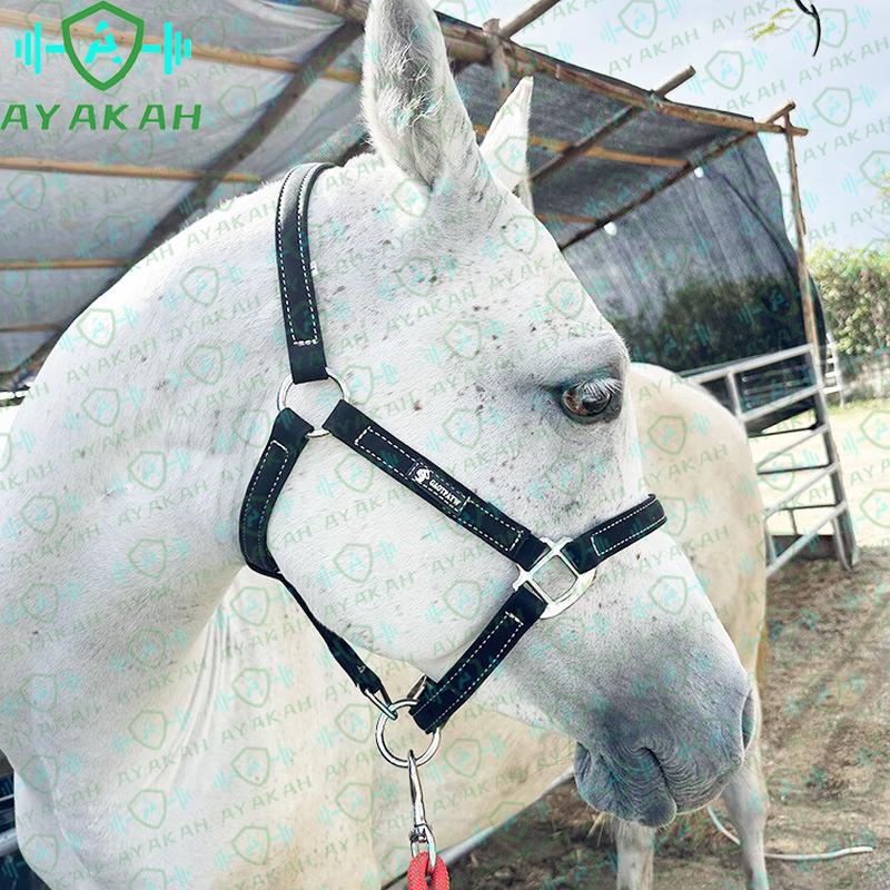 AYAKAH Equestrian and Target Training Supplies
