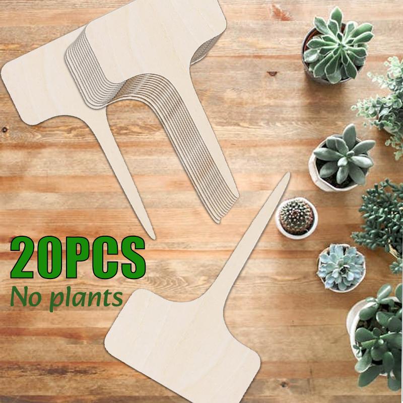 

10-200pc T-Type Wooded Plant Labels Plug-in Succulent Plant Flower Label Garden Marker Vegetable Name Sign Handwritten Tags