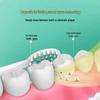 Shangheng SHZH-KQ001 Sonic Electric Toothbrush CN Plug (adapter Included)