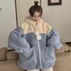 2024 Korean Style Loose Wool Lamb Coat for Female Students - Cozy Autumn/Winter Velvet Sweater