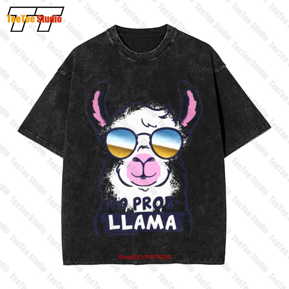 No Probllama No Problem Llama Vintage Oversized TShirt TXA S