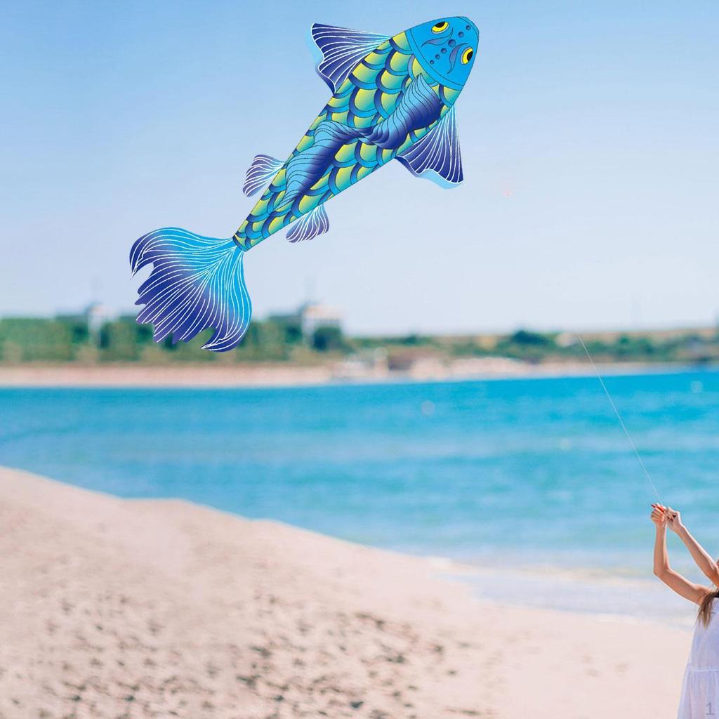 Kreslený Koi Drak Plážové Draky Narozeninové Dárky Létající Přenosná Ryba Velký pro Dospělé