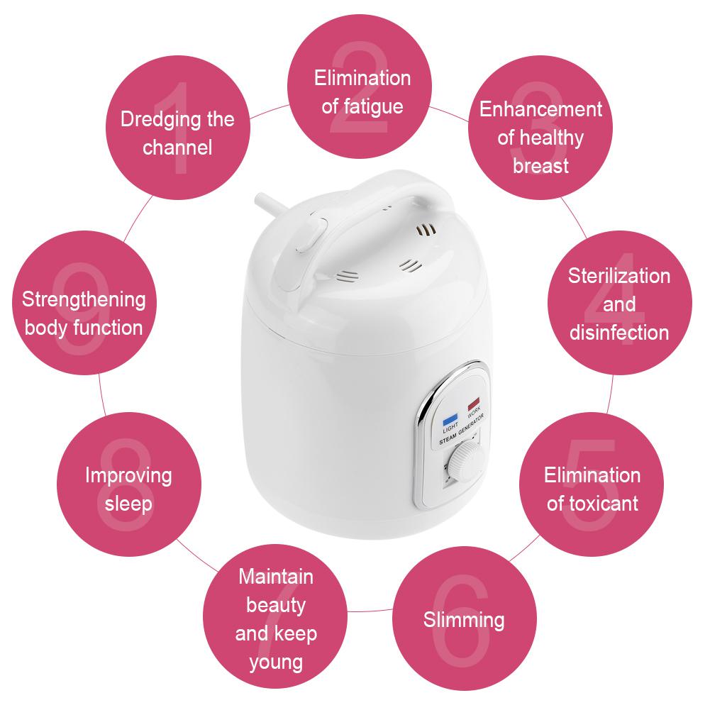 1.5L Sauna Steamer Portable Pot Machine Home Personal Spa Indoor Body Slimming Therapy