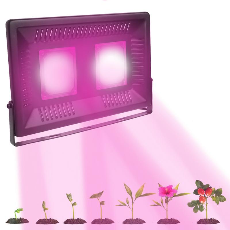 Buy 100W Waterproof IP67 Full Spectrum COB Light Source LED Indoor ...