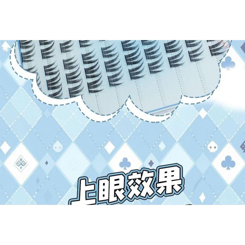 LuxeFlutter - False Eyelashes Clusters