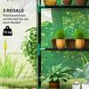 Greenhouse with Shelves, Mini Greenhouse, UV Resistant, Mesh Windows, Zip Door, 143L X 74W X 190H Cm, Green