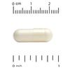 Sport, Creatine Monohydrate, 750 Mg, 240 Veggie Capsules