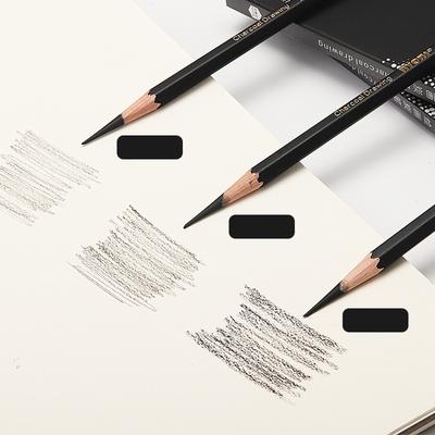Pack Of 10 Charcoal Drawing Pencils For Artists Beginner Professional Wood Sketch Pencils for Drawing Sketching Shading