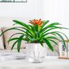 Hydroponic Plant Vase with Cotton Rope Plastic Creative Flowerpot Lazy Self Watering Vase Plant Pot for Home Garden Decoration