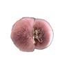 Cozy Fluffy Bunny Fur Hair Claws: Autumn Winter Plush Clips for Bangs & Ponytails.