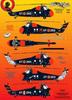 DCD4841 Belgian Air Caution Data Decal 1/48 Force/Navy S-58/HSS-1