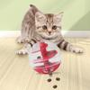 Cat Toys Cat Treat Dispensing Ball Interactive Pet Slow Feeder  Indoor Playing