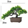Pine Needle Juniper Artificial Bonsai with Dried and Plastic Pine Leaves