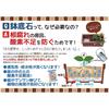 Hanagokoro Clean Potting Stones - Durable, Clean, Lightweight - 5L
