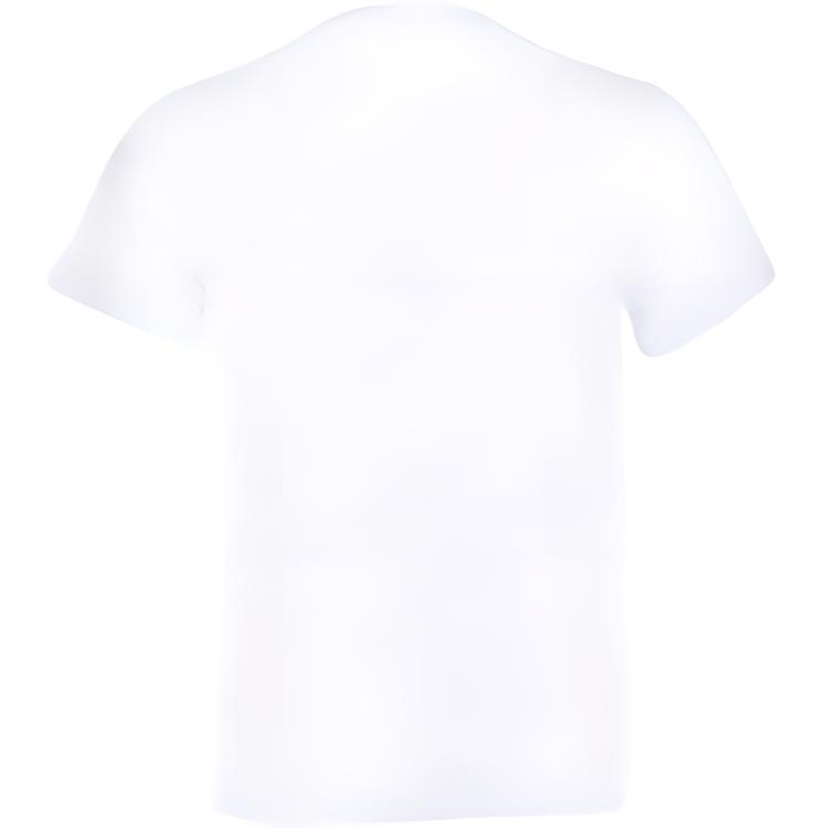 Li Ning Sports Fashion Series Printed Crew Neck Short Sleeve Jersey Men Jersey Standard-White AHSR041-1