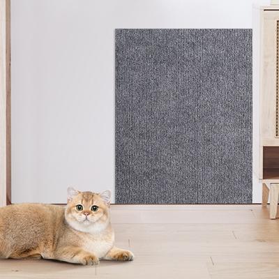 Kedi – Kedi Eğitim Aparatları