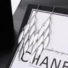 European and American Earrings, Fashionable Styles, Fashionable Metallic Exaggerated Tassels, Elegant Long Trendy Element Earrings and Pendants