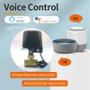 Tuya Zigbee WIFI Smart Water Valve DN15 DN20 DN25 Home Automation Control Faucet Timer Support Alexa Google Assistant SmartLife