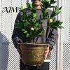 Large Capacity Decorative Planter Water Lily Planter, Vintage Round Plant Pot, Without Drainage Hole, Bowl with No Extra Plastic Flower Pot for Lotus,