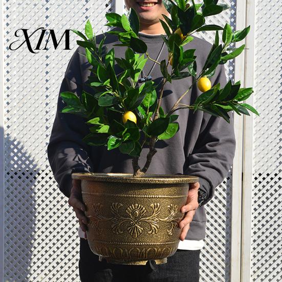 Large Capacity Decorative Planter Water Lily Planter, Vintage Round Plant Pot, Without Drainage Hole, Bowl with No Extra Plastic Flower Pot for Lotus,