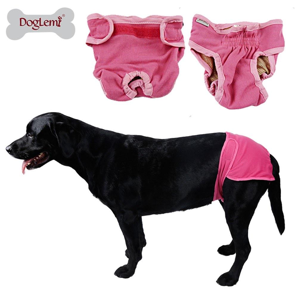 dog menstruation pants
