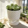 Plastic Succulent Plant Basin Root Control Green Onion Pots Plant Containers  Green Plants