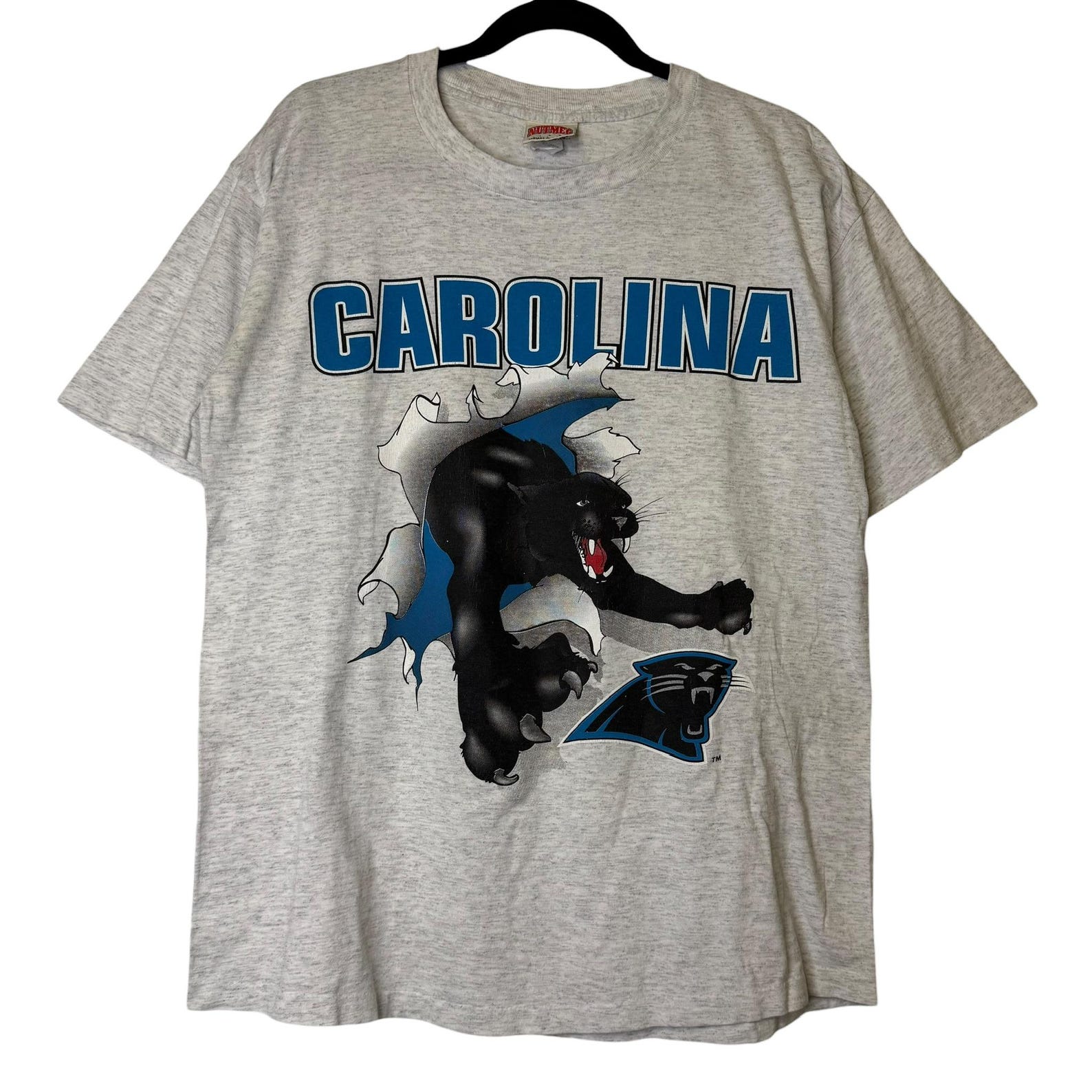 1993 Carolina Panthers Nutmeg Breakthrough T shirt Sz L (B2085) 4XL