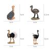 Children's Cognitive Ostrich and Flying Bird Models for Farm Decoration