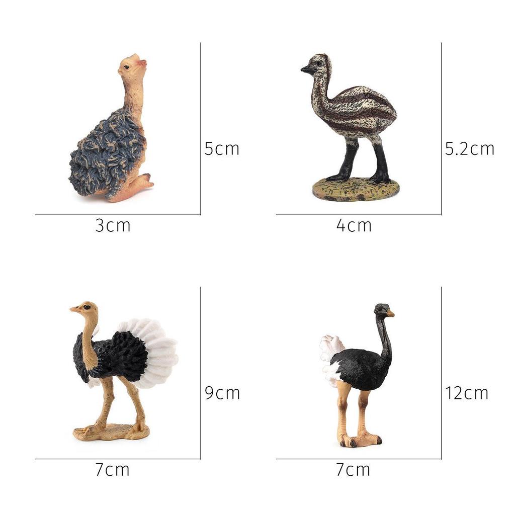 Children's Cognitive Ostrich and Flying Bird Models for Farm Decoration