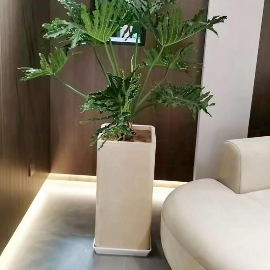 5 ks čtvercových podnosů do květináčů Plastové zachycování přebytečné vody rozlité zeminy pro podnosy do květináčů pro pokojové rostliny