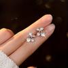 Cherry Earring Set for Women, Fashionable Design, Preferred for Daily Party Matching, Exquisite Gift Earrings, Sweet and Personalized Earrings.