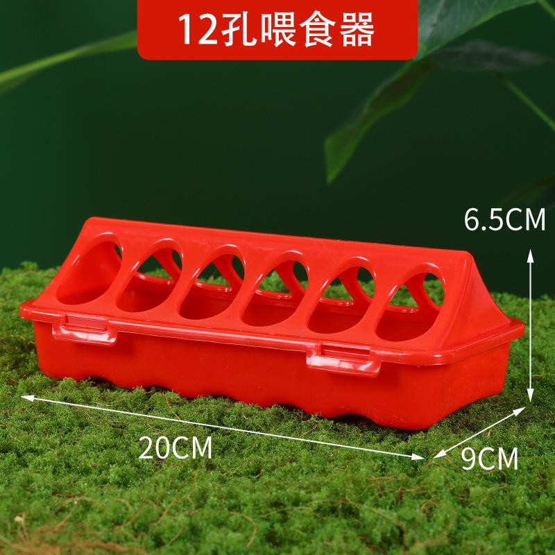 Chicken Trough Small Automatic Waterer Quail Feed Feeder Rutin Chicken Trough Chicken Automatic Feeder