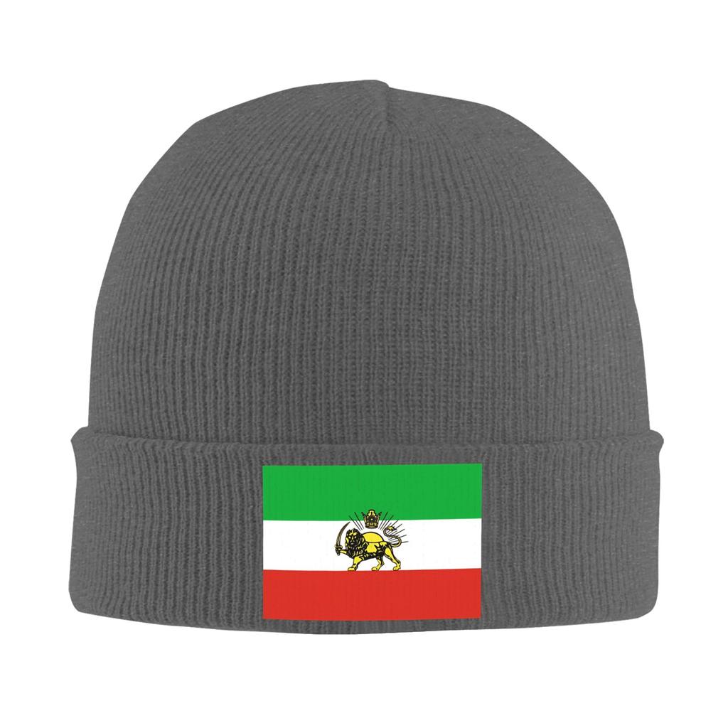 Female Male Flag Of Persia   Beanie Hats  Casual Knit Hat Autumn Winter Hippie Caps Custom Head Wrap Bonnet Hats