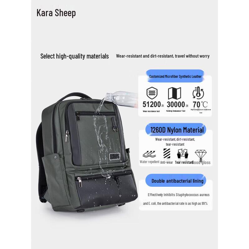 

Carla Lamb CS5219 Business Laptop Backpack