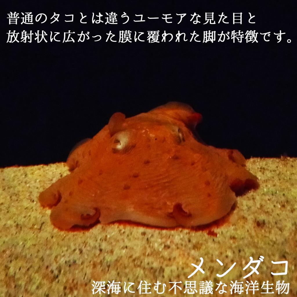 Set of 4 Plush Octopus Figures with Ball Chains (1 Each, Perfect for Home Use, Promotions, and Sales Promotions). These Palm-sized, 6cm Polyester