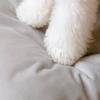 Condo Shape Cats House Bed Tent for Indoor Small to Large Cats Machine Washable Ultra Soft Cushion Anti-Slip Bottom
