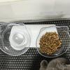 Cat Food Water Bowl High Bottom Tilt Neck Protector Washable Puppy Pet Small Dog Drinking Feeding Sphynx Persian Cats Supplies