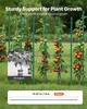 Garden Stakes, 50 Pack, 1800 Mm, Plastic Coated Metal Tomato Stakes, Garden Sticks for Plants Support, with Pointed End and Non-Slip Bumps for Growing
