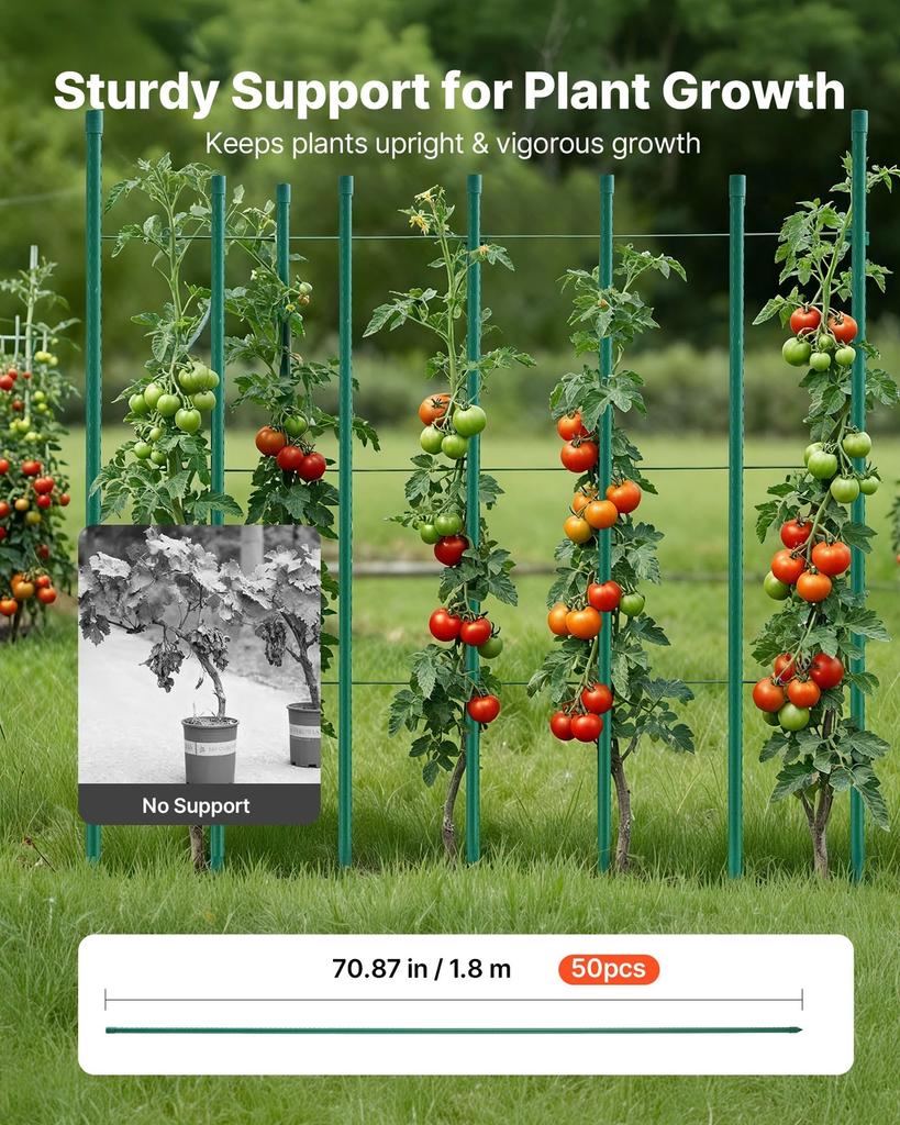Garden Stakes, 50 Pack, 1800 Mm, Plastic Coated Metal Tomato Stakes, Garden Sticks for Plants Support, with Pointed End and Non-Slip Bumps for Growing